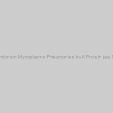 Image of Recombinant Mycoplasma Pneumoniae truA Protein (aa.1-243)